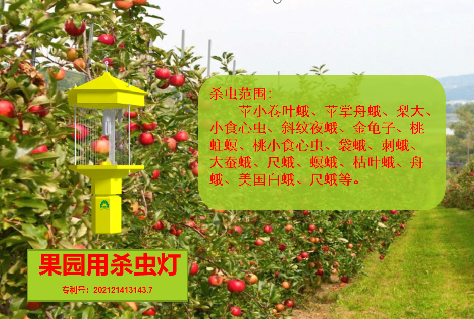 果园专用杀虫灯