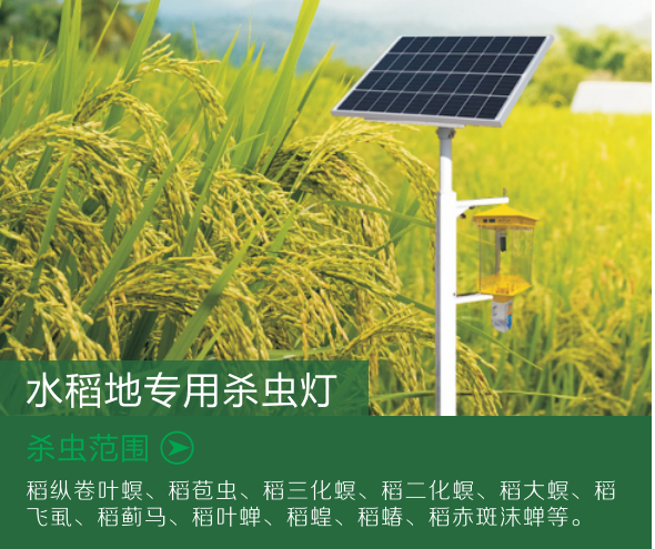 稻田专用杀虫灯