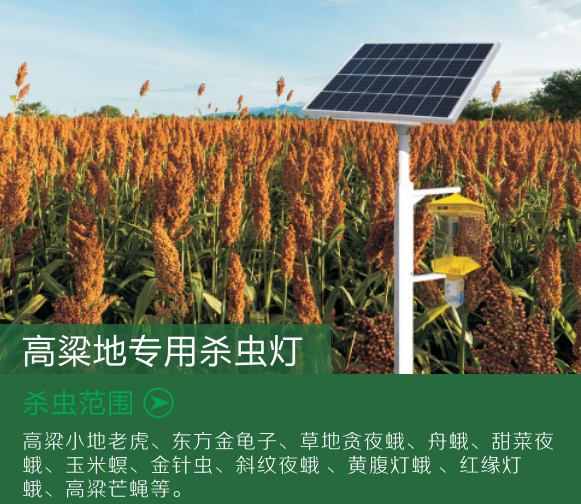 高粱专用杀虫灯