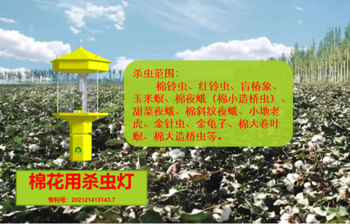 棉花专用杀虫灯